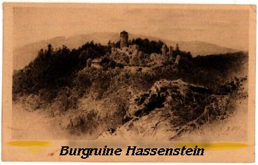 hassenstein11.JPG (19058 Byte)